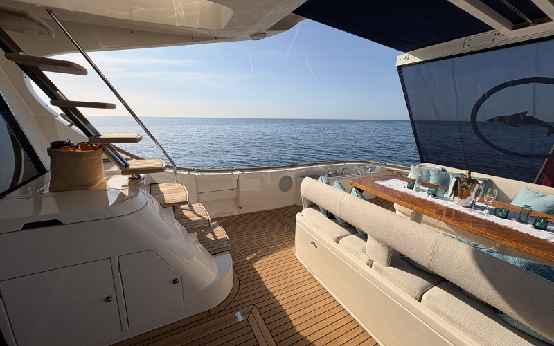 Mochi Craft Dolphin 74