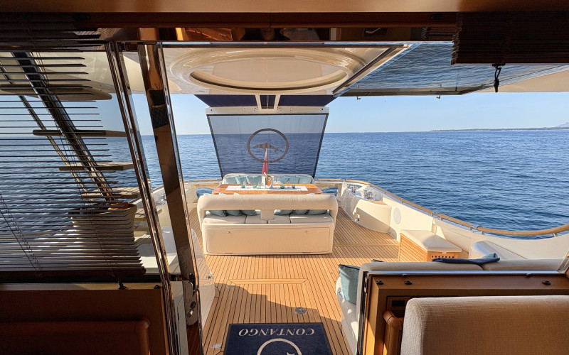 Mochi Craft Dolphin 74