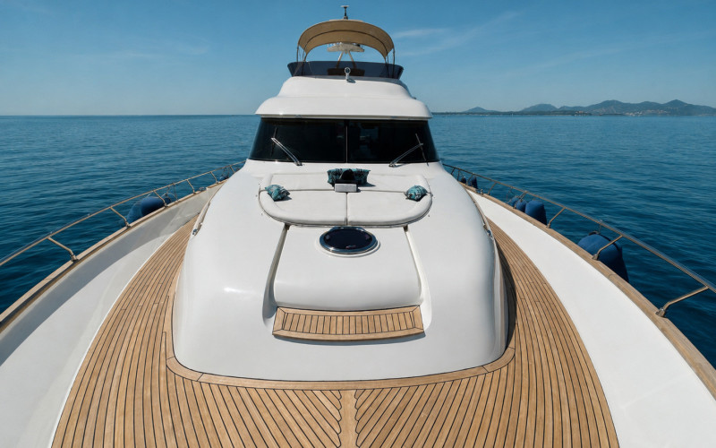 Mochi Craft Dolphin 74