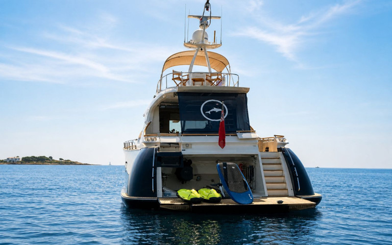 Mochi Craft Dolphin 74