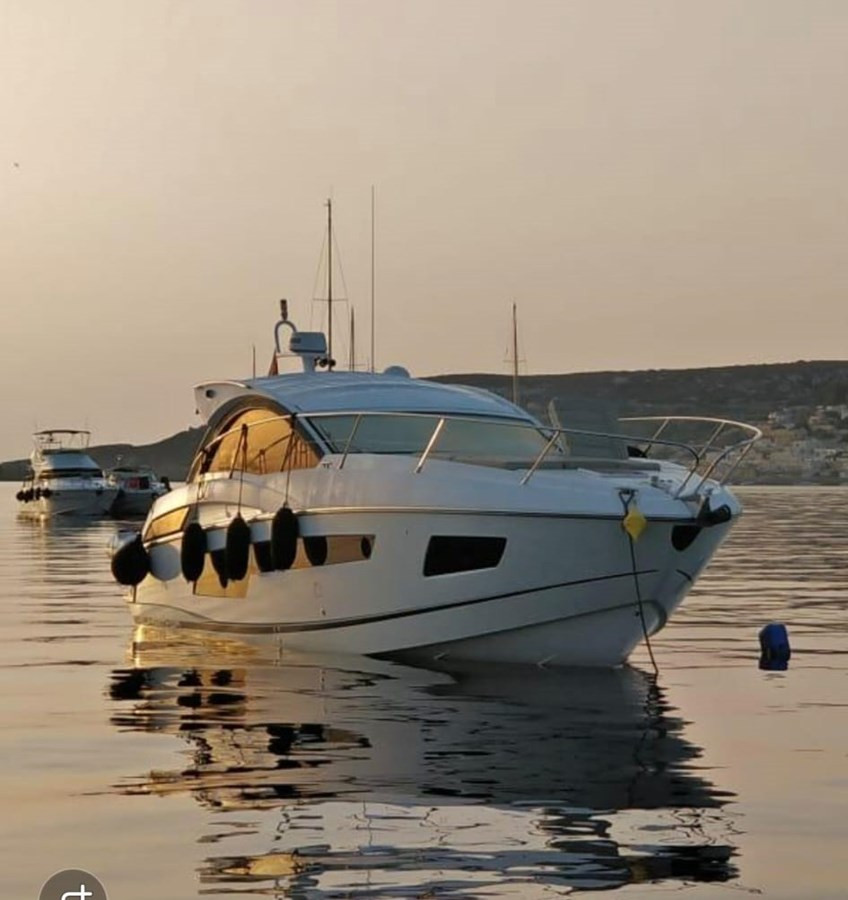 SUNSEEKER KUDOS