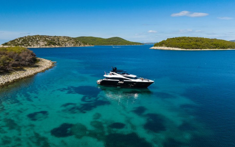 SUNSEEKER BLACK MAMBA