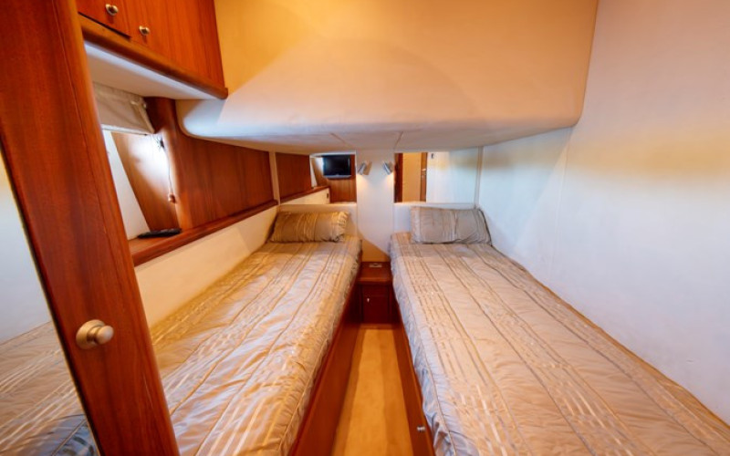 SUNSEEKER Predator 72 sport NUTS